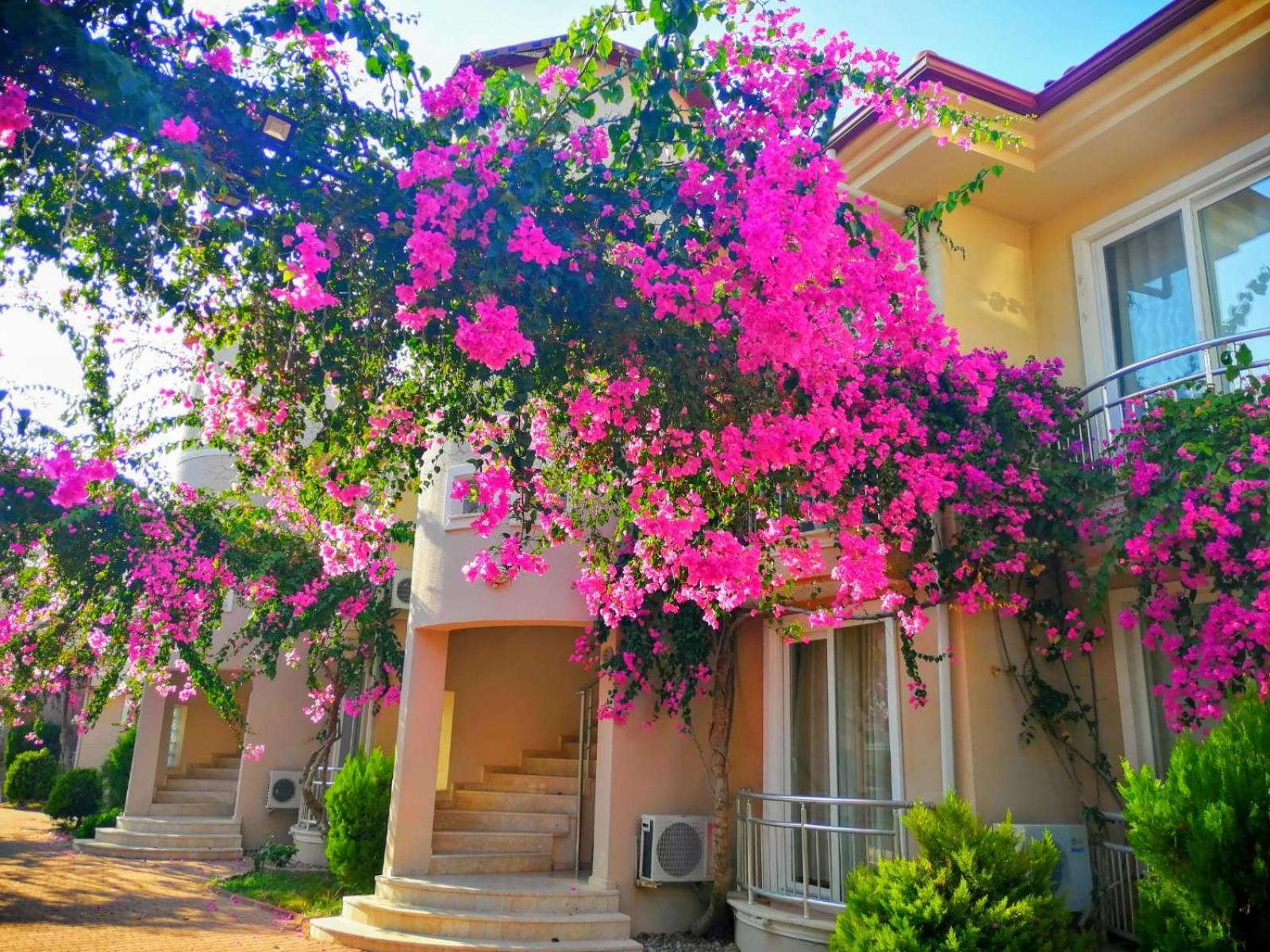 Sunset Beach Club Fethiye Exterior foto